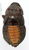 CollectionObject 1587290; MNHN(SF IMPORT DUPLICATE) MNHN-EP-EP1248, 6d3c99c0-f8e4-4ba5-b8f5-dee95e743507: CC BY-NC-ND 4.0/MNHN - Depraetere Marion - 2014. Holotype, male, of diabolus Saussure, 1864. Specimen number: MNHN-EP-EP1248. http://coldb.mnhn.fr/catalognumber/mnhn/ep/ep1248. (CollectionObject).