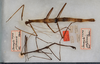 CollectionObject 1561486; 84de75f7-3ddd-4fad-bc3b-5110126516be: copyright USNM, Washington. male and female (syntypes). (CollectionObject).;CollectionObject 1561487; 8a7175af-94a1-4785-9985-6015bda31578: copyright USNM, Washington. male and female (syntypes). (CollectionObject).