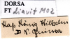 CollectionObject 1567131; 8663da43-3ad4-47bc-aec3-3ca07c793384: labels. (CollectionObject).