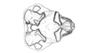 Aucacris bullocki Rehn, 1943: Fig. 26. male, phallic complex, dorsal view. (Otu).