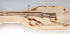 CollectionObject 1559417; 07638f2e-10fd-449d-9943-5362739d60f5: copyright SAM, Adelaide. female: thorax, lateral view of Lonchodes caurus (holotype). (CollectionObject).