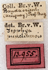 labels. Depicts CollectionObject 1532988; 9bc6d351-4d6e-4be6-a305-2bd29e1ac40b, a CollectionObject.