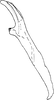 Aedeagus, lateral view on Distantasca latava (Dworakowska, 1981): Aedeagus, lateral view. (Observation).