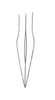 Tairona pulchella Hebard, 1928: Plate V. Fig. 4 (after allotype). dorsal outline of apex of ovipositor. (Otu).