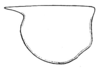 Anaulacomera (Cervicercora) bellator Rehn, 1920: Fig. 21 (after type). male pronotum, lateral outline. (Otu).