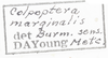 Other: !! display not done !! on Colpoptera marginalis Burmeister, 1835: (Observation).