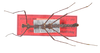 CollectionObject 1560169; e33244d8-5110-45f7-8764-697dc8255d87: copyright ZMB, Berlin. male (holotype). (CollectionObject).