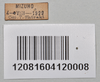 CollectionObject 1558566; 4c917895-0886-46c0-a9b7-dff6059d7c4b: copyright NTUC. (CollectionObject).;CollectionObject 1558567; d4c220b1-46f5-4ed5-8c4a-1c736fedfae2: copyright NTUC. (CollectionObject).