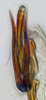 Aedeagus, ventral view: (Observation).
