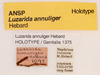 CollectionObject 1523730; 931255aa-f604-41a0-b50c-d18b3b77de3c: labels (holotype). (CollectionObject).
