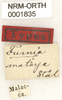 CollectionObject 1529765; be4e4fbd-9f82-40b1-8181-27247cd199e4: labels (holotype). (CollectionObject).