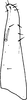 Subgenital plate, ventral view on Eurhadina (Singhardina) rubrivittata Chiang, Hsu & Knight, 1989: Subgenital plate, ventral view. (Observation).