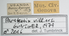 CollectionObject 1576882; 019d462c-608a-4312-bc4a-4d1c95bcd65c: labels. (CollectionObject).