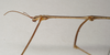 CollectionObject 1558030; b13e432c-573d-4544-bada-a88b6f3572c8: copyright Natural History Museum, London. male: head and thorax, lateral view (syntype). (CollectionObject).;CollectionObject 1558031; e7723eee-9b4e-43ca-bac0-c5aad6b05318: copyright Natural History Museum, London. male: head and thorax, lateral view (syntype). (CollectionObject).