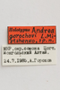 CollectionObject 1528830; cad8b65c-ed44-40ec-b434-46d3f880de45: labels (holotype). (CollectionObject).