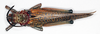 CollectionObject 1580391; 19d9cb4f-bc5b-462f-bcec-39a8ef6ebb9d: female, dorsal view (paralectotype of Phymateus cardinalis). (CollectionObject).