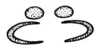 Arminda fuerteventurae Holzapfel, 1972: Fig. 3 C. dorsal lobes of aedeagus, cross-section. (Otu).