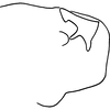 Pygofer, lateral view on Erythridula volucris (Beamer, 1930): Pygofer (paratype), lateral view. (Observation).