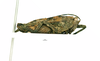 CollectionObject 2052448; bec28ca9-e099-46ac-b993-882095c3cd94: female, lateral view (holotype). (CollectionObject).