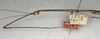 CollectionObject 1557368; NMW 652, 610c4863-a7c1-4fa4-b4b5-60e0eb4cdb78: copyright NMW, Vienna. male Dyme mutica: head and thorax, lateral view (holotype). (CollectionObject).
