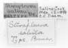 CollectionObject 1524572; d0b97f29-0146-4352-8f1e-57c13876e96f: labels (holotype). (CollectionObject).
