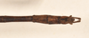 CollectionObject 1558237; d49b09bf-b84f-4f86-9d9a-2a9462d10240: copyright OUMNH. male: end of abdomen, dorsal view (syntype). (CollectionObject).