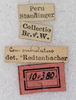 CollectionObject 1592160; NMW 10380, 53ea4249-35fb-4f72-a339-0a7c2bcec8e1: labels. (CollectionObject).