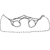 Abdomen, sternal apodemes, ventral view on Anufrievia anchoroides Lin & Zhang, 2021: (Observation).