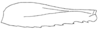 Callimenellus maculatus Gorochov & Voltshenkova, 2005: Fig. 43. hind femur (probably female). (Otu).