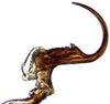 Aedeagus, lateral view: Paralimnus angusticeps, aedeagus, laterally (INHS). (Observation).