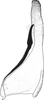 Stylus on Ederranus sachalinensis (Matsumura, 1911): Stylus. (Observation).
