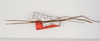 CollectionObject 1562587; bbd8b31a-8112-49a1-9396-8251ed382252: copyright ZMUH, Hamburg. male (paratype). (CollectionObject).