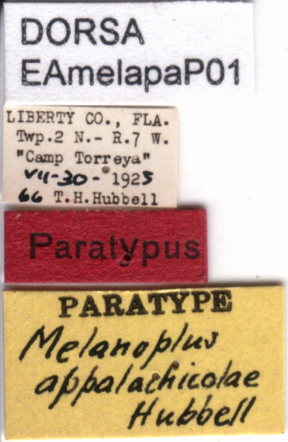 labels (paratype). Depicts CollectionObject 1537634; 918c2c43-4196-49b0-aa7f-2dd36a636943, a CollectionObject.