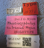 Other on Omolicna cubana (Myers, 1926): (Observation).