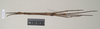 CollectionObject 1563490; de07c452-751f-4685-9c42-1435f6cd9768: copyright natural History Museum, London. (CollectionObject).;CollectionObject 1563491; 50291e33-5ce1-404b-be41-102db5fb136b: copyright natural History Museum, London. (CollectionObject).