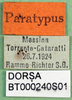 CollectionObject 1502671; 160a6c83-749d-4c46-8e58-de307987d3b1: labels (paratype). (CollectionObject).