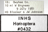 Other on Athysanella (Athysanella) utahna Osborn, 1930: Labels - Male. (Observation).