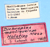 CollectionObject 1521117; bb935bac-c563-4296-a264-aa215f63aa23: labels (holotype). (CollectionObject).