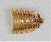CollectionObject 1618716; 1bbab282-cf0f-4cbf-8763-95d190c93762: (CollectionObject).