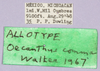 CollectionObject 1499580; 8158dfb7-909a-49eb-831e-3952c1b575aa: labels (allotype). (CollectionObject).