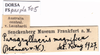 CollectionObject 1505404; 1f676492-35fb-44a1-b360-23a3deefd7f1: labels. (CollectionObject).