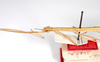 CollectionObject 1559318; 5318f452-c1cc-4d8b-ba89-4d4568f43735: copyright MNCH, Madrid. female: head & thorax, lateral view (paralectotype). (CollectionObject).;CollectionObject 1559319; 4145f06e-6e37-4c0b-96c4-3380581d5a02: copyright MNCH, Madrid. female: head & thorax, lateral view (paralectotype). (CollectionObject).