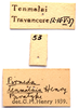 CollectionObject 2703452; CNMS 53, 19f1317d-29ca-445d-a7fd-35081e69a501, CNMS 53: label. paratype. (CollectionObject).
