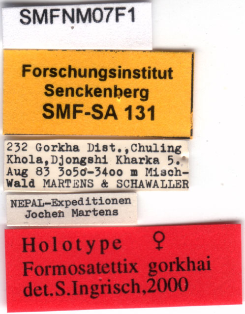 labels (holotype). Depicts CollectionObject 1505350; bf033238-7062-4c25-8528-5c5009d2a170, a CollectionObject.