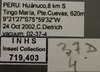Other on Dilobopterus jemima (Distant, 1908): Labels. (Observation).