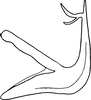 Aedeagus, lateral view on Edwardsiana corylicola Vilbaste, 1968: Aedeagus, lateral view. (Observation).
