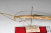 CollectionObject 1561996; 5dc5585a-aabc-40f4-aeb2-c11d030b0fe7: copyright ZMHB, Berlin. female: head & thorax, lateral view (syntype). (CollectionObject).;CollectionObject 1561997; 46748e3b-a7d3-4693-bbcc-b6709fd08cac: copyright ZMHB, Berlin. female: head & thorax, lateral view (syntype). (CollectionObject).