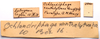 CollectionObject 2631851; CNMS 3800, 95e1135c-332e-42e5-bc38-559d2c30d411, CNMS 3800: label. female (paratype). (CollectionObject).