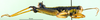 CollectionObject 1501323; a7dbc09a-a304-47db-bd59-157478ff0244, DORSA BA000876S01: male, lateral view (holotype of Zubovskya mandshurica). (CollectionObject).