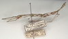 CollectionObject 1558087; 5c7d2521-fb68-4781-af3e-92e061bccd3e: St. Petersburg. female, lateral view (holotype). (CollectionObject).